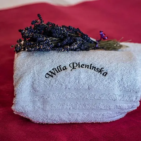 Willapieninska Appartement Kluszkowce