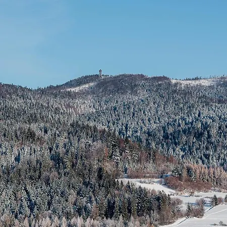 Apartman Willapieninska