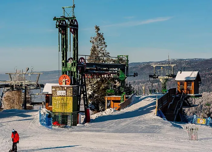 Daire Willapieninska