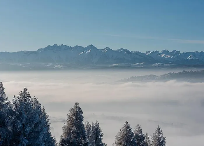 Daire Willapieninska