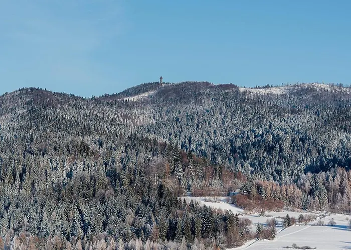 Daire Willapieninska